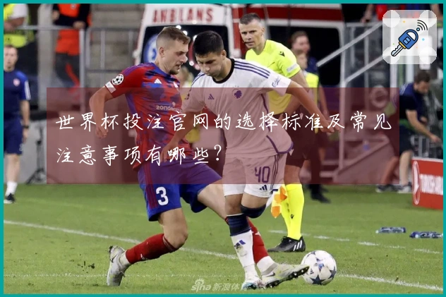 世界杯投注官网的选择标准及常见注意事项有哪些？